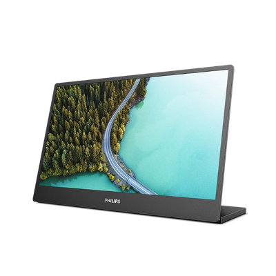 Portable monitors