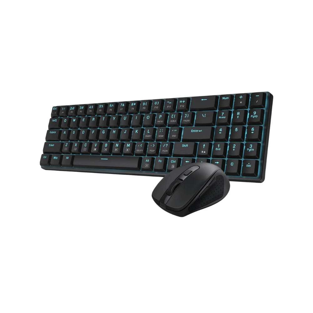 Keyboards & mice