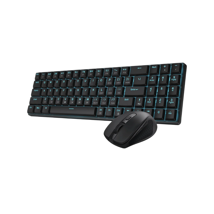 Keyboards & mice