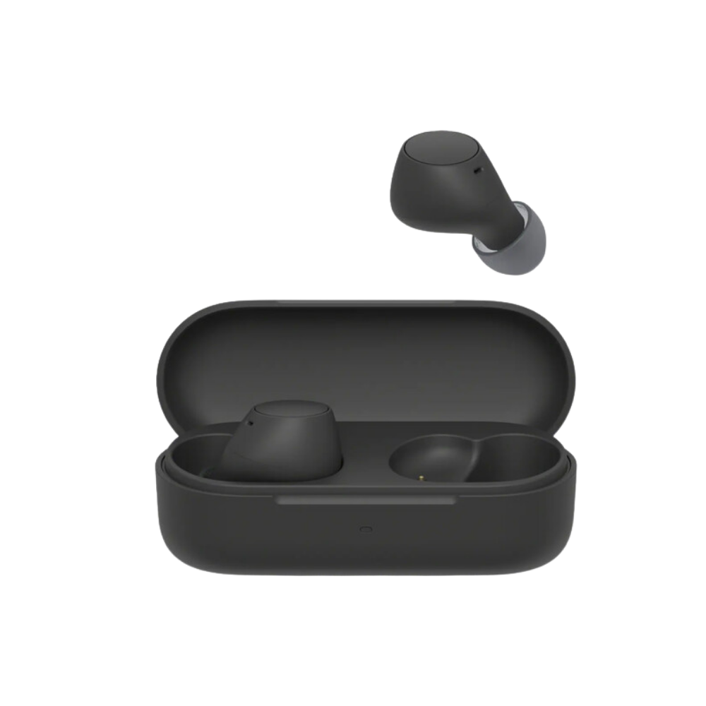 Earbuds