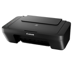 Canon Pixma MG2570s Inkjet Printer