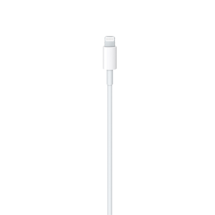 Apple USB-C to Lightning Cable (1 m)
